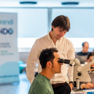 experto en endodoncia en Bilbao