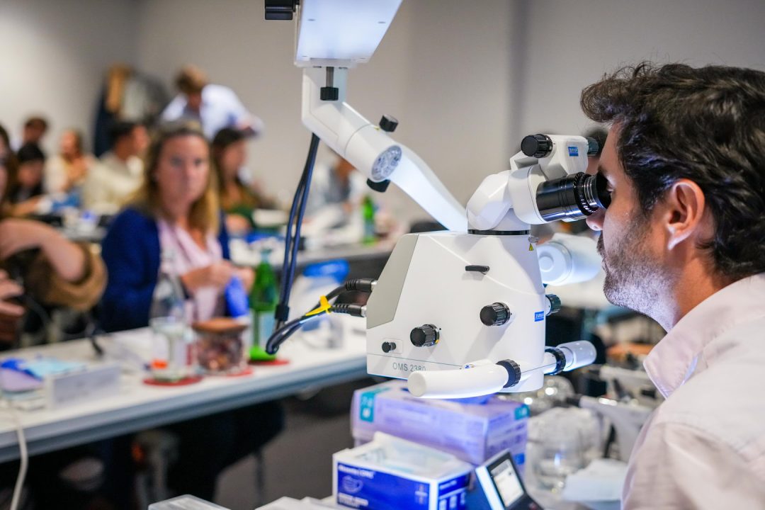 actualización en endodoncia en Madrid